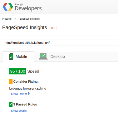 A pic of my PageSpeed Insights score